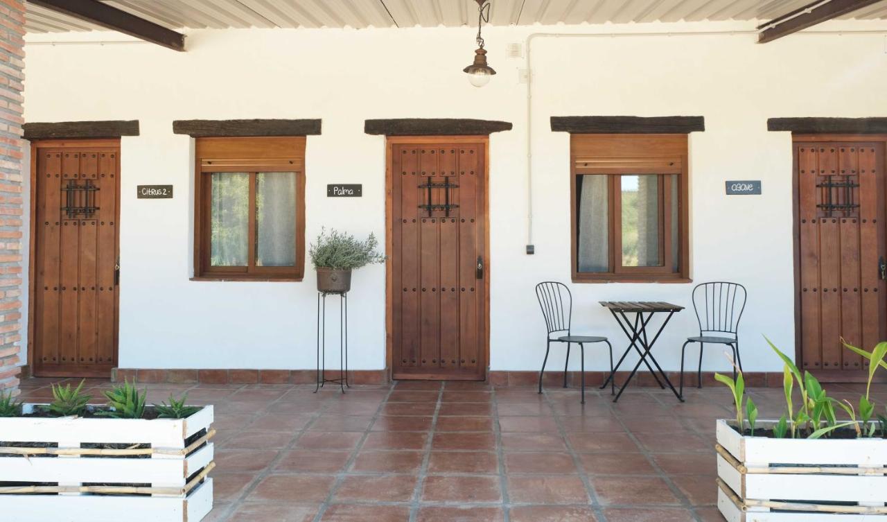 The Wild Olive Andalucia Agave Guestroom Касарес Экстерьер фото