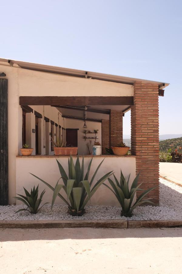 The Wild Olive Andalucia Agave Guestroom Касарес Экстерьер фото
